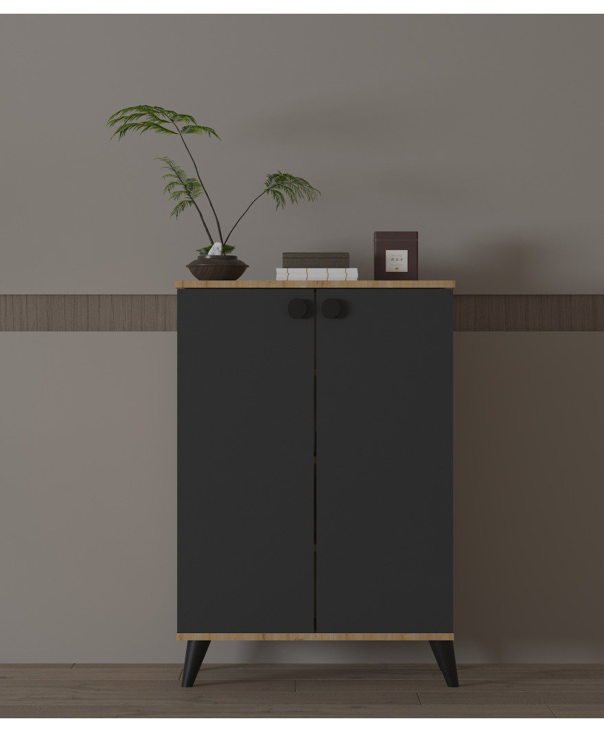 Antrasit - Safir Meşe 2 Kapaklı Ayakkabılık resmi