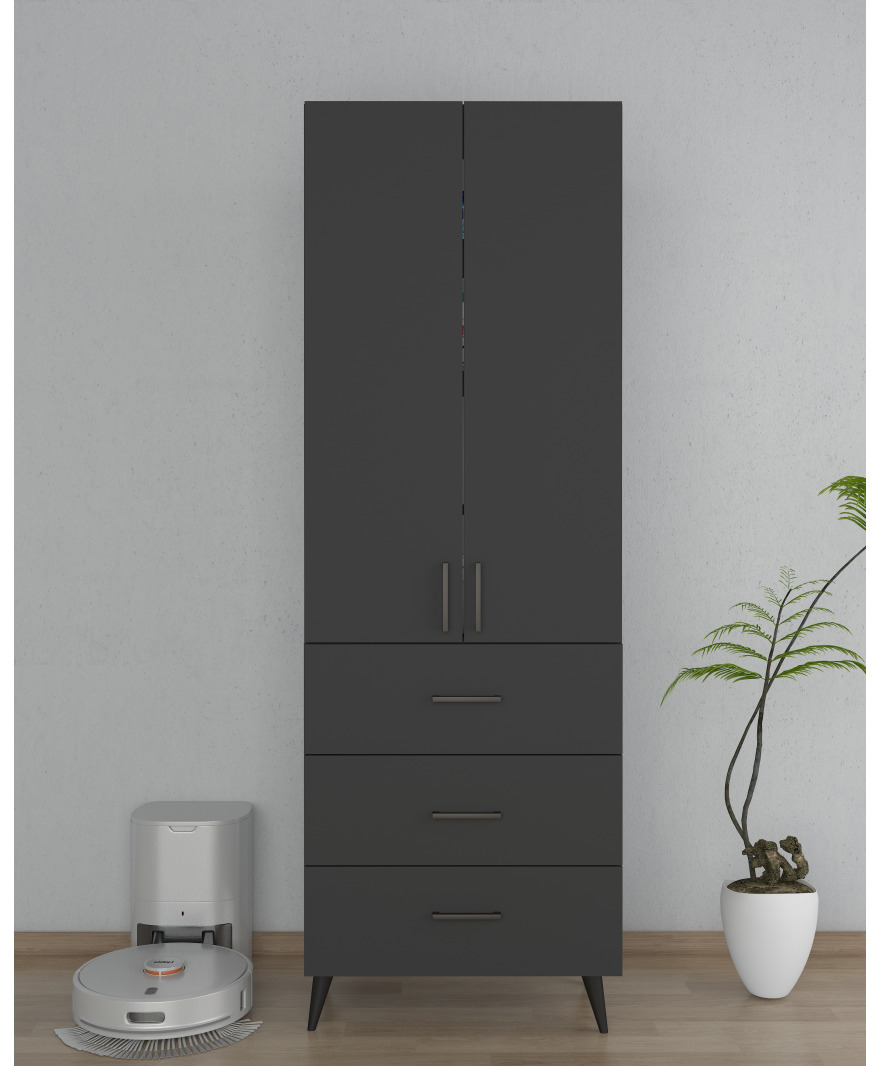 Antrasit 2 Kapaklı 3 Çekmeceli Çok Amaçlı Dolap  resmi