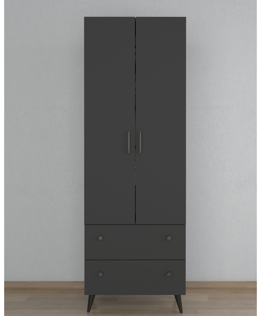Antrasit 2 Kapaklı 2 Çekmeceli Çok Amaçlı Dolap resmi