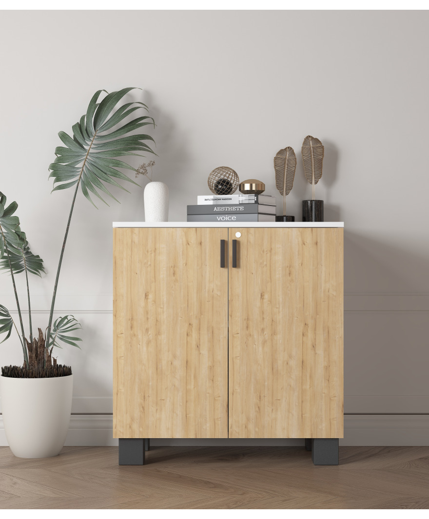 Antrasit 2 Kapaklı Ofis Dolabı  resmi